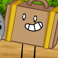 SUITCASE (II)